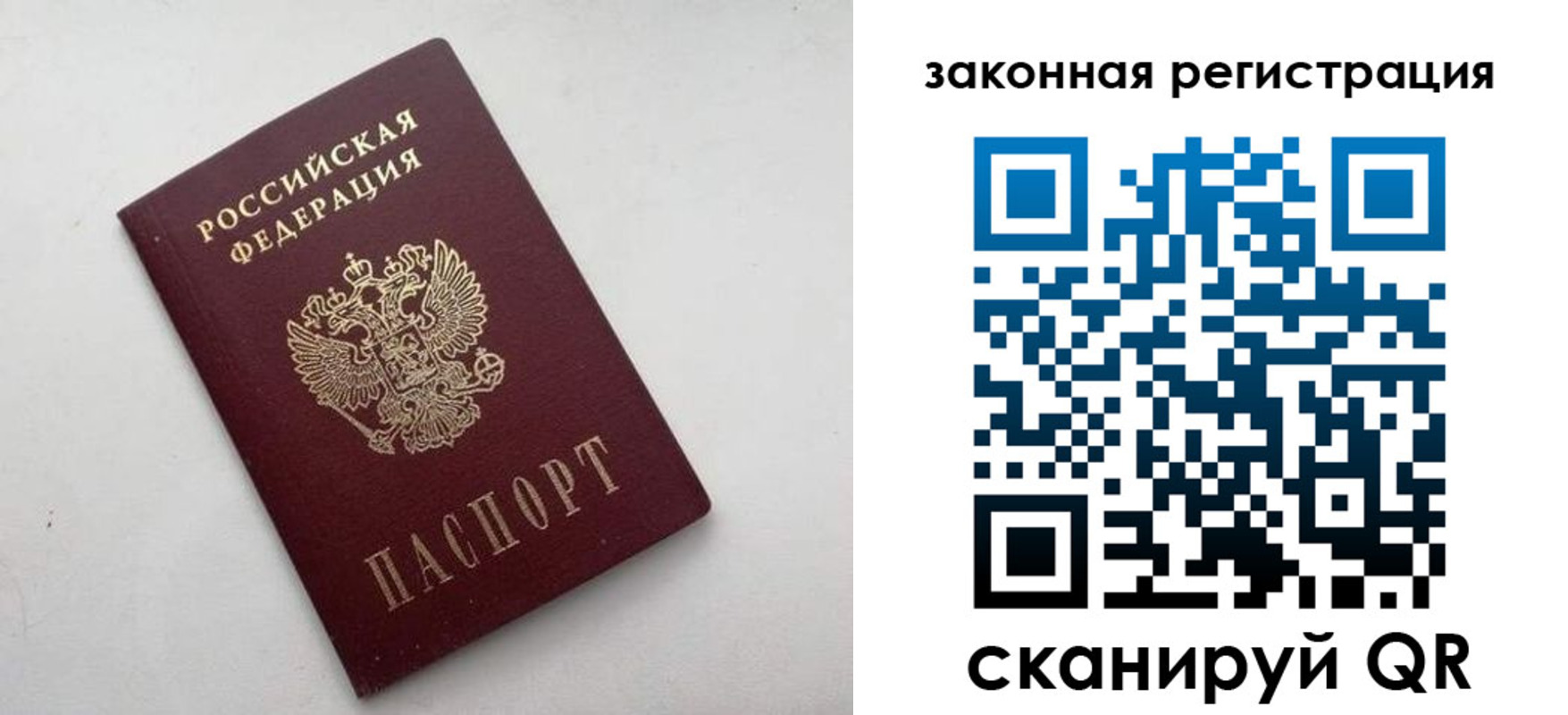 прописка гарантия в Северске